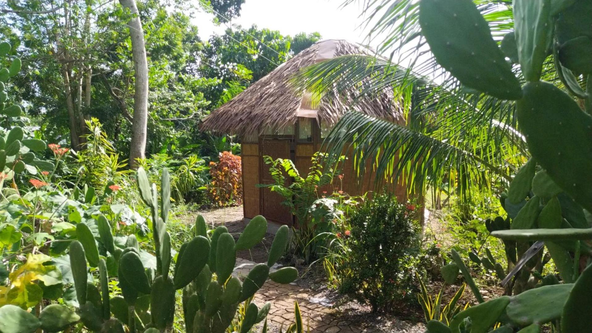 Little Nomads Eco-Guesthouse Siquijor Δωμάτιο φωτογραφία