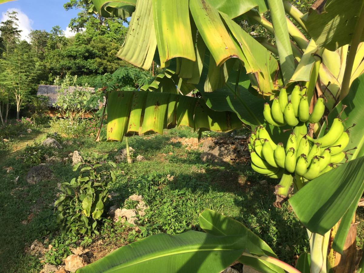 Little Nomads Eco-Guesthouse Siquijor Εξωτερικό φωτογραφία