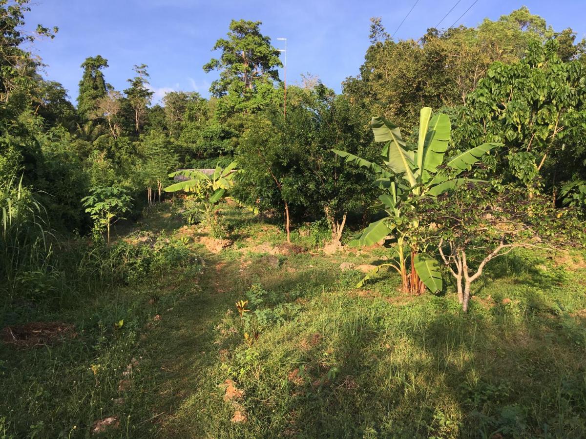 Little Nomads Eco-Guesthouse Siquijor Εξωτερικό φωτογραφία