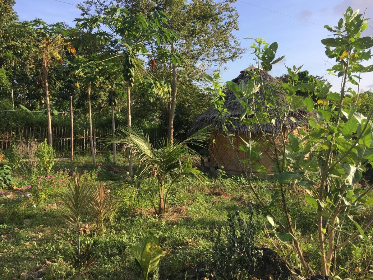 Little Nomads Eco-Guesthouse Siquijor Εξωτερικό φωτογραφία
